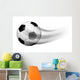 Soccer Ball in Motion 