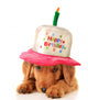 Happy birthday puppy Wall Decal