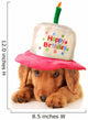 Happy birthday puppy Wall Decal