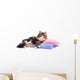 Beautiful Fluffy Kitten Lying Wall Decal