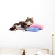 Beautiful Fluffy Kitten Lying Wall Decal