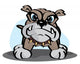 Bulldog 