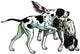 english pointer and setter Wall Decal