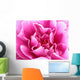 bright pink flower Wall Mural
