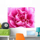 bright pink flower Wall Mural