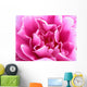 bright pink flower Wall Mural