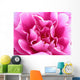 bright pink flower Wall Mural