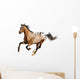 appaloosa stallion Wall Decal