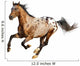 appaloosa stallion Wall Decal