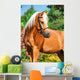 Portrait of Wonderful Palomino Welsh Pony 