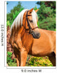 Portrait of Wonderful Palomino Welsh Pony 