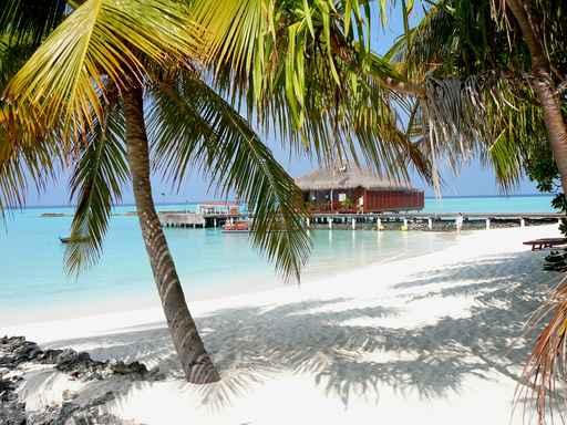Maafushivaru Maldive Wall Decal Design 2