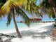 Maafushivaru Maldive Wall Decal Design 2