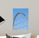 Roller coaster 
