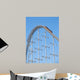 Roller coaster 