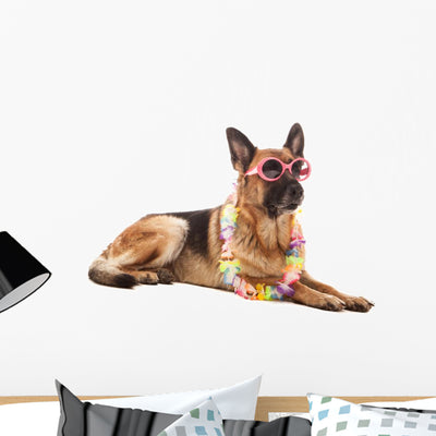 Single German Shepherd Hawaiian shown on a wall