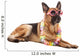 Single German Shepherd in Hawaiian Style 
