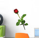 Single red rose on a white background Wall Decal