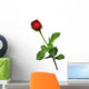 Single red rose on a white background Wall Decal