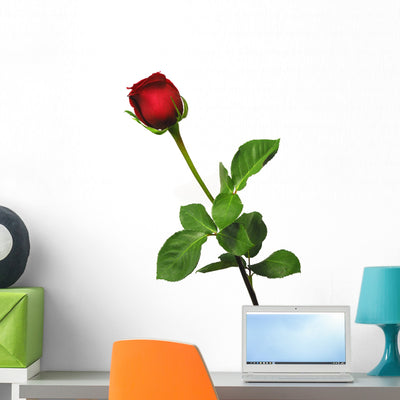 Single Red Rose White Wall Decal shown on a wall
