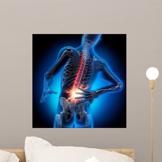 Back Pain 2 