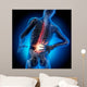 Back Pain 2 