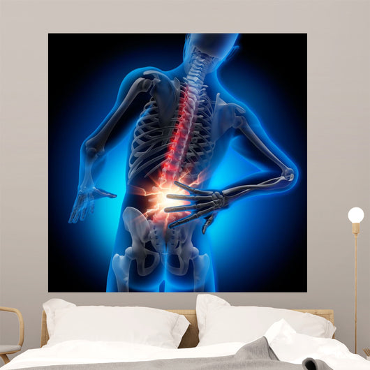 Back Pain 2 