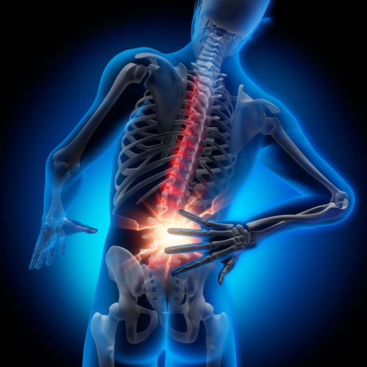 Back Pain 2 