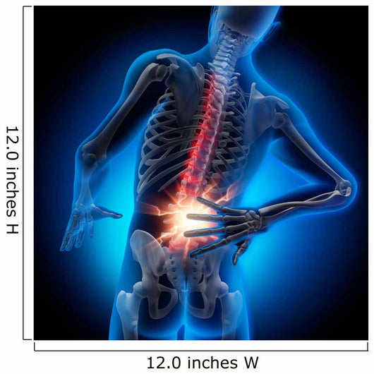 Back Pain 2 