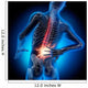 Back Pain 2 