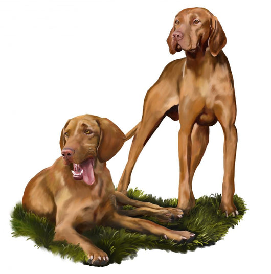 Two Dogs Hungarian Pointer-magyar Vizsla Wall Decal