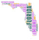 Florida USA State Map Tag Cloud Wall Decal