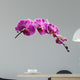Purple Orchid Flowers Isolated on White Background 