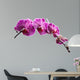 Purple Orchid Flowers Isolated on White Background 