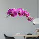 Purple Orchid Flowers Isolated on White Background 