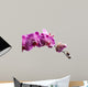 Purple Orchid Flowers Isolated on White Background 
