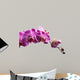 Purple Orchid Flowers Isolated on White Background 