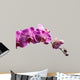 Purple Orchid Flowers Isolated on White Background 