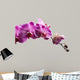 Purple Orchid Flowers Isolated on White Background 
