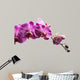 Purple Orchid Flowers Isolated on White Background 