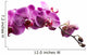Purple Orchid Flowers Isolated on White Background 