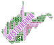 West Virginia USA State Map Tag Cloud Wall Decal