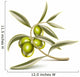 Green olives branch 