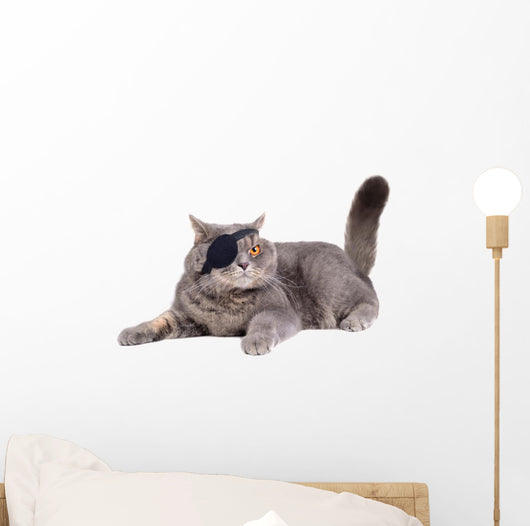 Cat Dressing in Pirate Costume Wall Decal