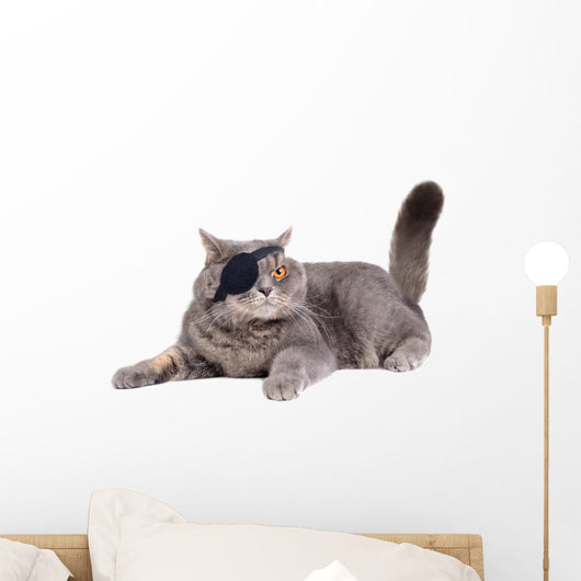 Cat Dressing in Pirate Costume Wall Decal