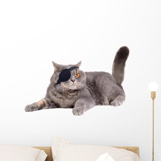Cat Dressing in Pirate Costume Wall Decal