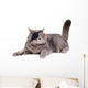 Cat Dressing in Pirate Costume Wall Decal