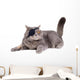 Cat Dressing in Pirate Costume Wall Decal