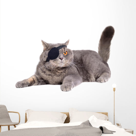 Cat Dressing in Pirate Costume Wall Decal
