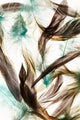 Color Feathers Wall Decal